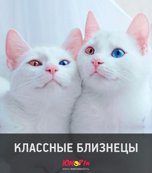 Пусть полоса вашей жизни будет такой же белой!