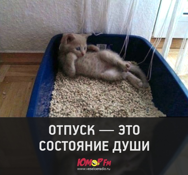 #состояние #юморфм