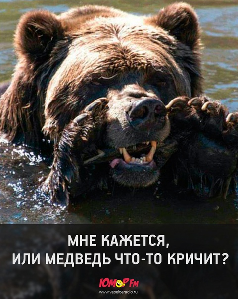 #кричит #юморфм