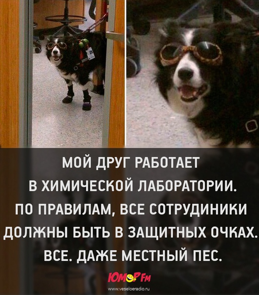 #очки #юморфм