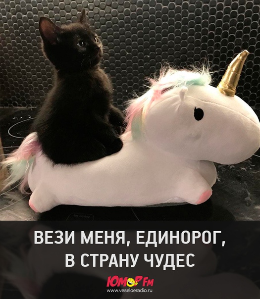 #встранучудес #юморфм