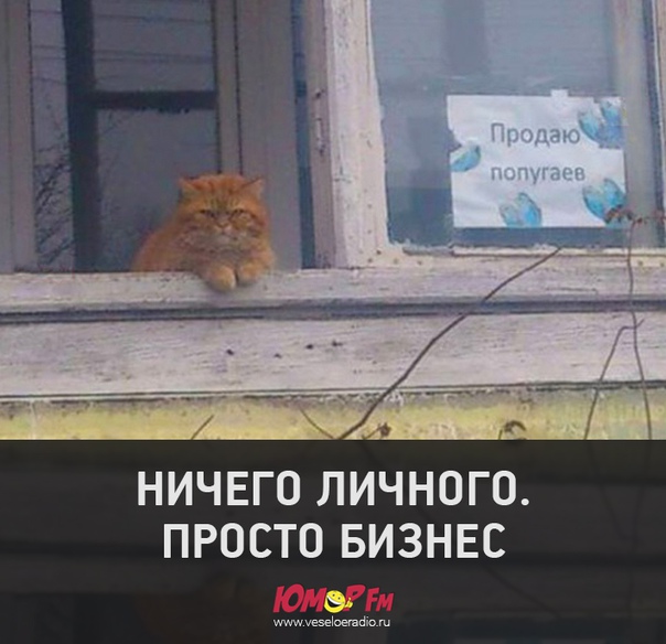 #бизнес #юморфм