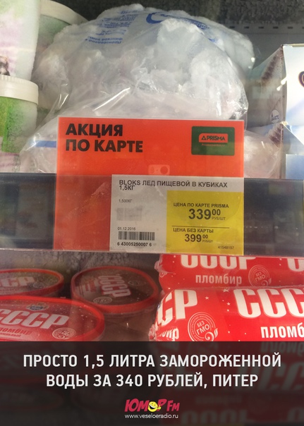#питер #юморфм