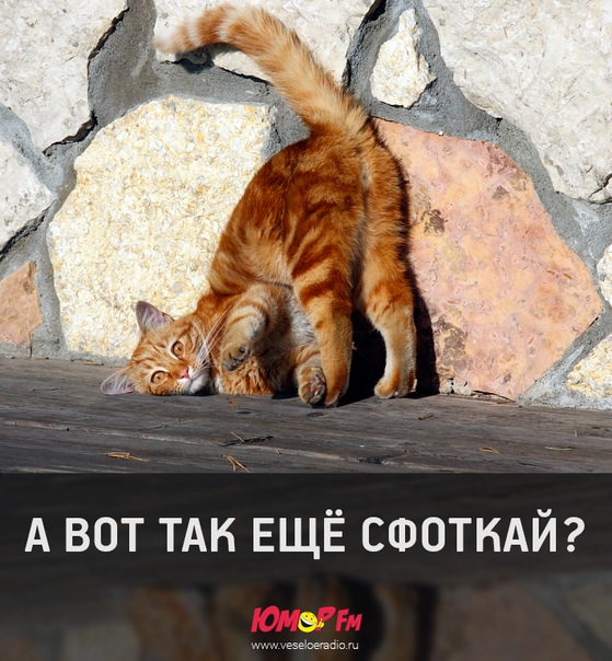 #позирую #юморфм