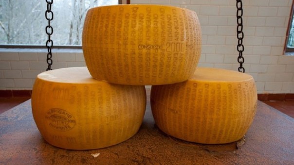 10 мест где купить самый свежий сыр
