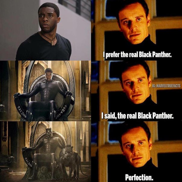 - Я предпочитаю настоящую Черную Пантеру. 
