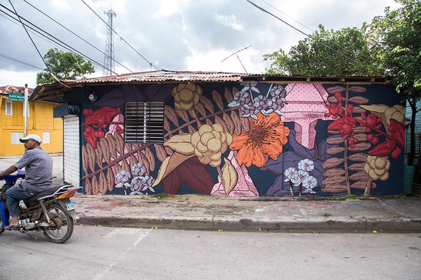 Франциско Диас (Francisco Diaz aka Pastel) путешествует по миру и рисует на стенах зданий местную флору. Этот аргентинский художник оставляет свои экзистенциальные узоры везде, где бывает, наполняя городские улицы минималистичным символизмом.