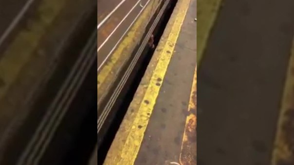 Видео из Нью-Йорка: Мужчина упал на рельсы в метро и... закурил!