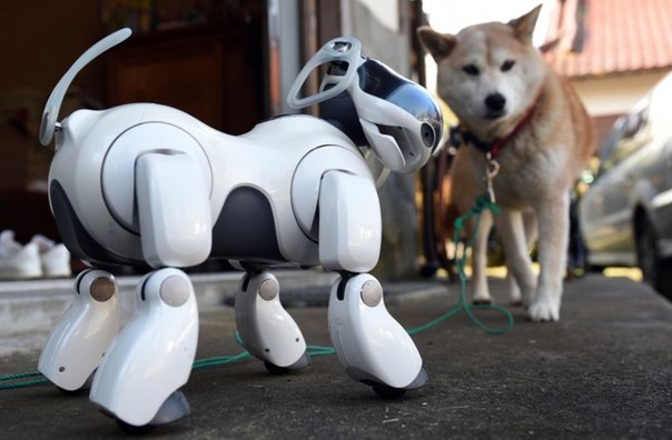 Sony выпустит обновлённую версию легендарного робота Aibo