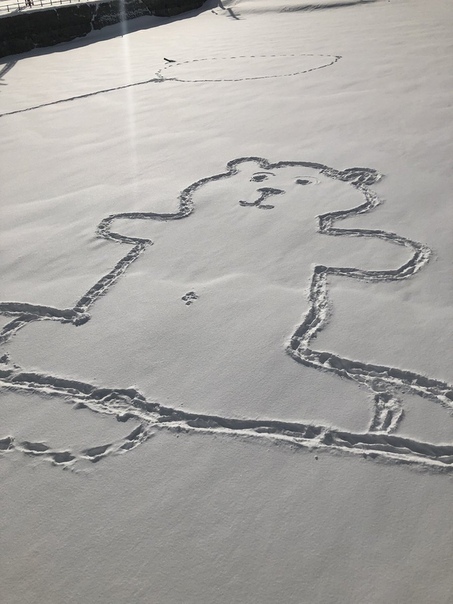 Канадцы разгадывают тайну нарисованного на снегу медведя.