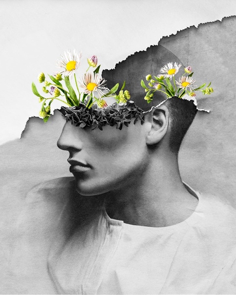 Graceful Flowery Collages 