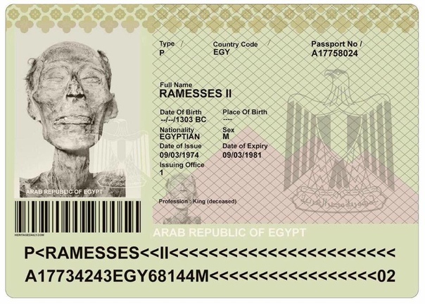 В 1974 году египтологи обнаружили, что мумия фараона Рамзеса II быстро портится. Решили немедленно везти её самолётом во Францию для экспертизы. Но таможенные органы Франции потребовали соблюдать закон, согласно которому при пересечении границы даже мумии необходим паспорт 