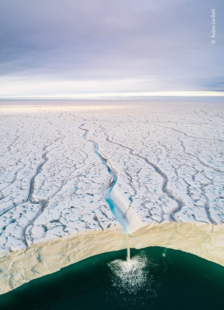 «Лёд и вода». Автор фото: Одун Ли Дал. На фото с дрона ледник Бросвелльбреэн, архипелаг Шпицберген, Норвегия.