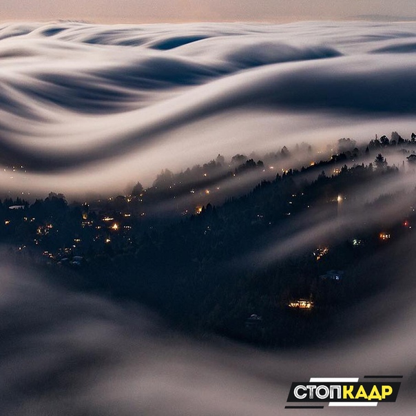 В последние восемь лет фотограф Ник Штейнберг снимает в Сан-Франциско и окрестностях, и его буквально очаровал туман. Это природное явление полностью захватило его и стало определять его творчество 