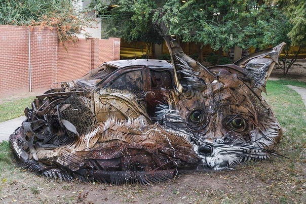 Художник превращает мусор в животных, чтобы напомнить людям о загрязнении окружающей среды.