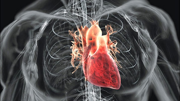 Новый кардиостимулятор будет заряжаться от биения сердца