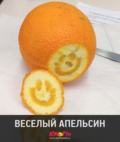 #апельсин #юморфм